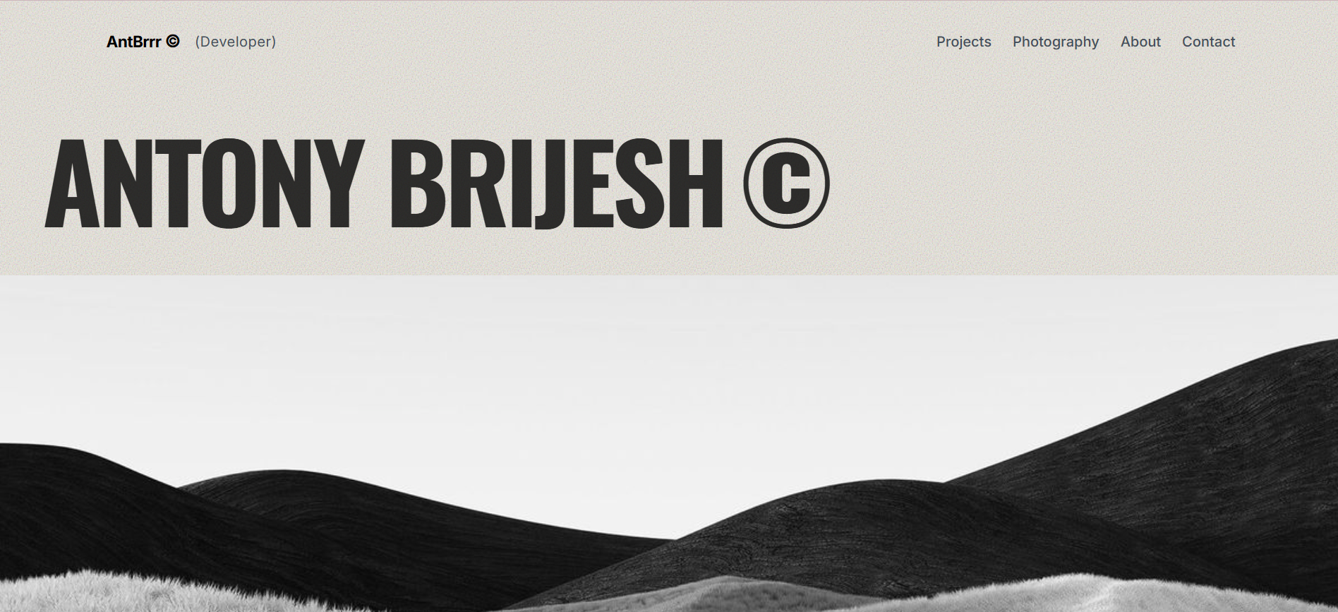 Portfolio Website Preview